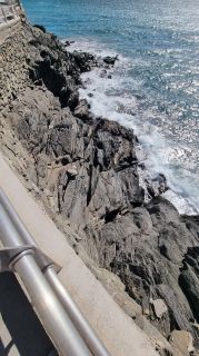 2024-01-Paseo_Costa_Canaria-San_Agustin-Ingles-068.jpg